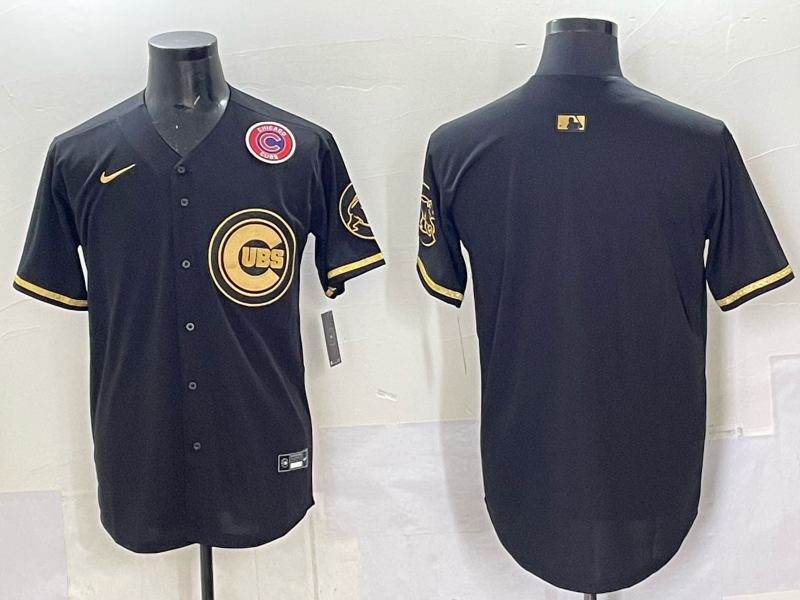 Men Chicago Cubs blank black Nike MLB 2025 Jersey 009